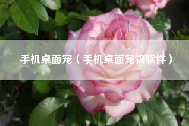 手机桌面宠（手机桌面宠物软件）