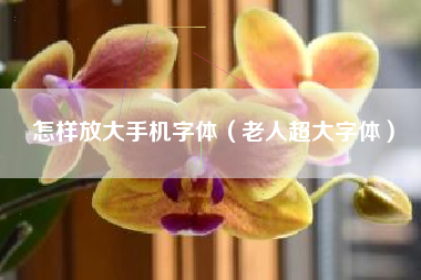 怎样放大手机字体（老人超大字体）