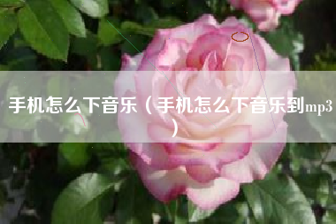 手机怎么下音乐（手机怎么下音乐到mp3）