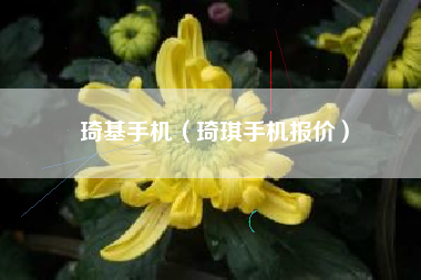 琦基手机（琦琪手机报价）