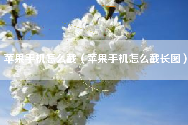 苹果手机怎么截（苹果手机怎么截长图）