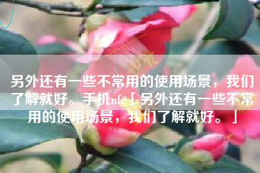 另外还有一些不常用的使用场景，我们了解就好。手机nfc「另外还有一些不常用的使用场景，我们了解就好。」