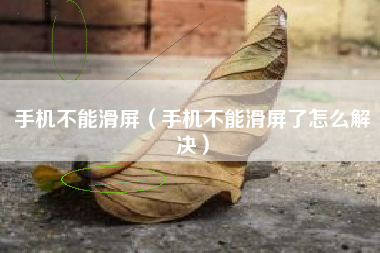 手机不能滑屏（手机不能滑屏了怎么解决）