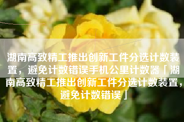 湖南高致精工推出创新工件分选计数装置，避免计数错误手机公里计数器「湖南高致精工推出创新工件分选计数装置，避免计数错误」