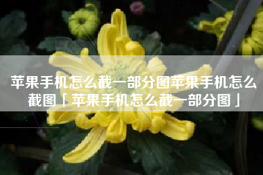 苹果手机怎么截一部分图苹果手机怎么截图「苹果手机怎么截一部分图」