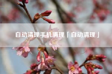 自动清理手机清理「自动清理」