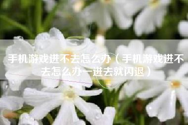 手机游戏进不去怎么办（手机游戏进不去怎么办一进去就闪退）