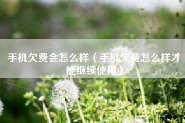 手机欠费会怎么样（手机欠费怎么样才能继续使用）