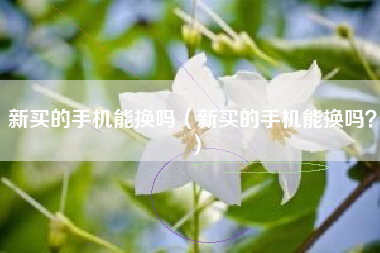 新买的手机能换吗（新买的手机能换吗？）