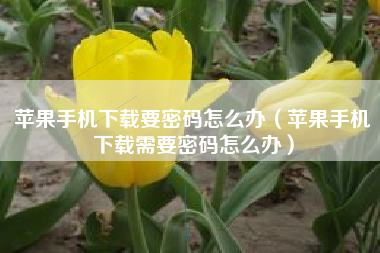 苹果手机下载要密码怎么办（苹果手机下载需要密码怎么办）