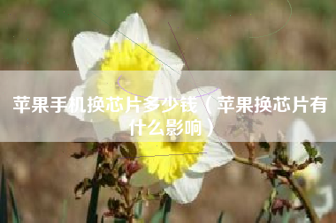 苹果手机换芯片多少钱（苹果换芯片有什么影响）