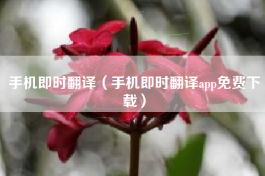 手机即时翻译（手机即时翻译app免费下载）