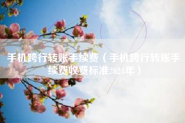 手机跨行转账手续费（手机跨行转账手续费收费标准2024年）