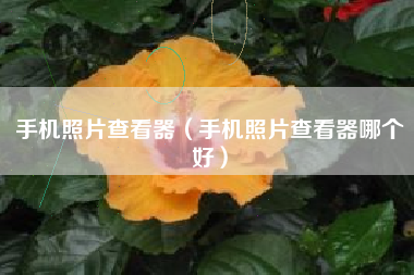 手机照片查看器（手机照片查看器哪个好）