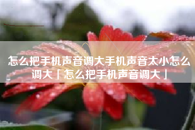 怎么把手机声音调大手机声音太小怎么调大「怎么把手机声音调大」