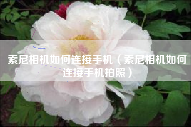 索尼相机如何连接手机（索尼相机如何连接手机拍照）