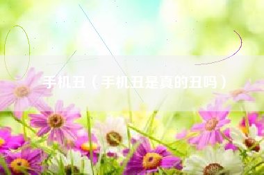 手机丑（手机丑是真的丑吗）