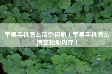 苹果手机怎么清空相册（苹果手机怎么清空相册内存）