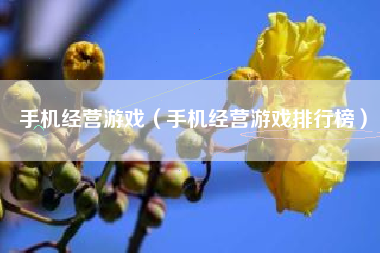 手机经营游戏（手机经营游戏排行榜）