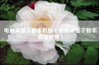 电脑桌面下载手机版（电脑桌面下载手机版免费）