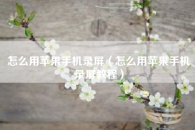 怎么用苹果手机录屏（怎么用苹果手机录屏教程）