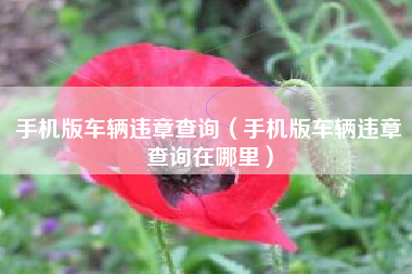 手机版车辆违章查询（手机版车辆违章查询在哪里）