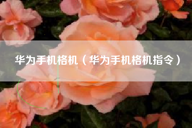 华为手机格机（华为手机格机指令）