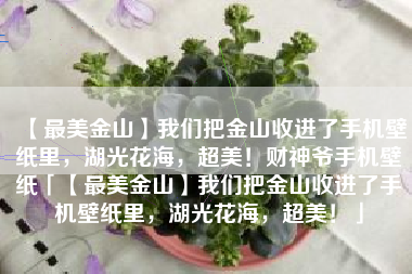 【最美金山】我们把金山收进了手机壁纸里，湖光花海，超美！财神爷手机壁纸「【最美金山】我们把金山收进了手机壁纸里，湖光花海，超美！」