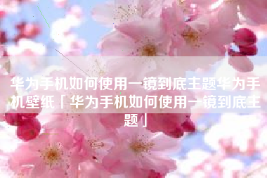 华为手机如何使用一镜到底主题华为手机壁纸「华为手机如何使用一镜到底主题」