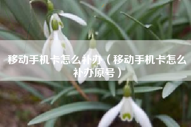 移动手机卡怎么补办（移动手机卡怎么补办原号）