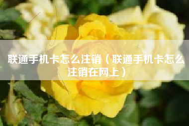 联通手机卡怎么注销（联通手机卡怎么注销在网上）