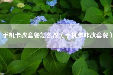 手机卡改套餐怎么改（手机卡咋改套餐）