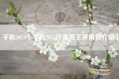 手机2015（手机2015孙贤周主演角色介绍）