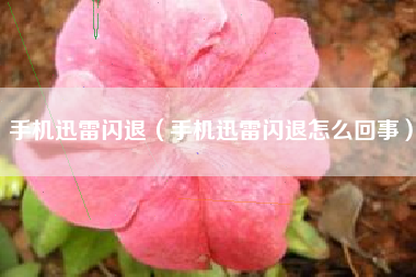 手机迅雷闪退（手机迅雷闪退怎么回事）