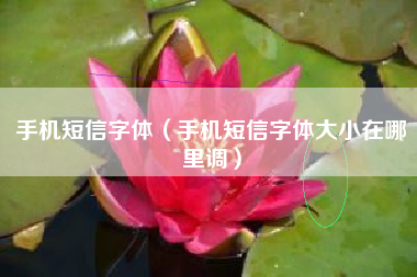 手机短信字体（手机短信字体大小在哪里调）