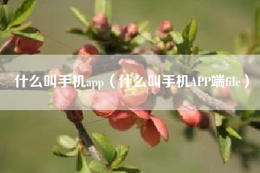 什么叫手机app（什么叫手机APP端file）