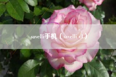 savelli手机（savelli v1）