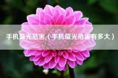 手机蓝光危害（手机蓝光危害有多大）