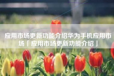 应用市场更新功能介绍华为手机应用市场「应用市场更新功能介绍」