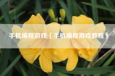 手机编程游戏（手机编程游戏教程）