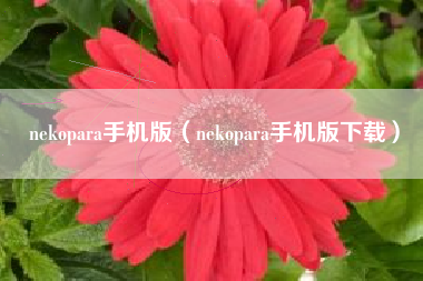 nekopara手机版（nekopara手机版下载）