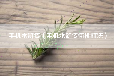 手机水浒传（手机水浒传街机打法）