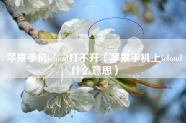 苹果手机icloud打不开（苹果手机上icloud什么意思）