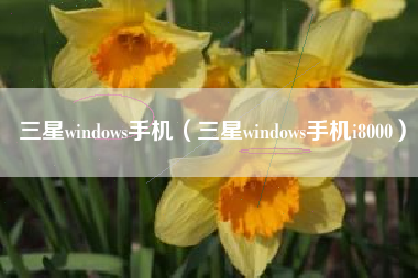 三星windows手机（三星windows手机i8000）