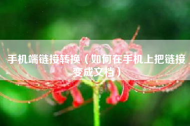 手机端链接转换（如何在手机上把链接变成文档）