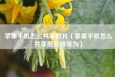 苹果手机怎么共享照片（苹果手机怎么共享照片给华为）
