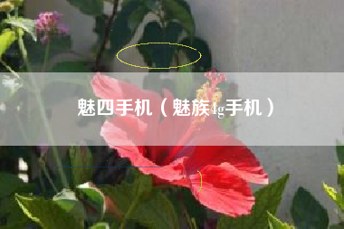 魅四手机（魅族4g手机）