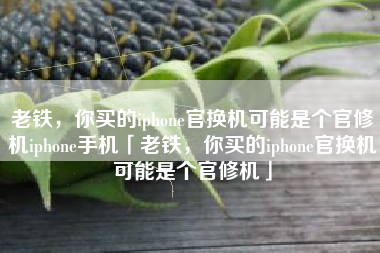 老铁，你买的iphone官换机可能是个官修机iphone手机「老铁，你买的iphone官换机可能是个官修机」