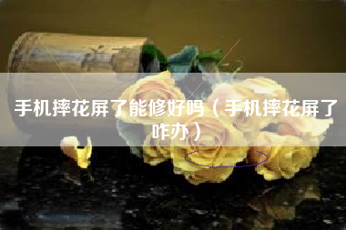 手机摔花屏了能修好吗（手机摔花屏了咋办）