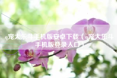 q宠大乐斗手机版安卓下载（q宠大乐斗手机版登录入口）